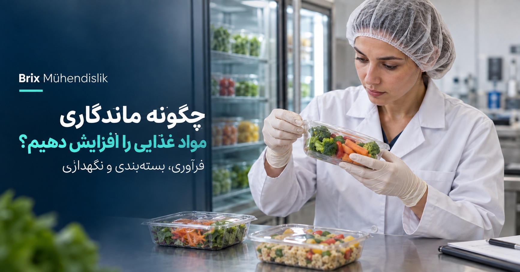 کارشناس فناوری مواد غذایی در حال بررسی فیلم درزبندی ظرف سبزیجات کنار یخچال؛ تصویر جلد فارسی درباره ماندگاری.